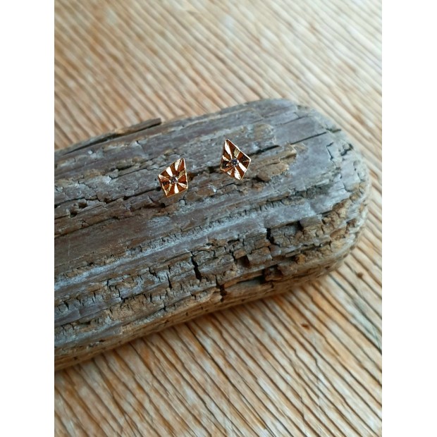 Hanka IN auskarai su cirkoniu